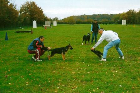 mon berger allemand